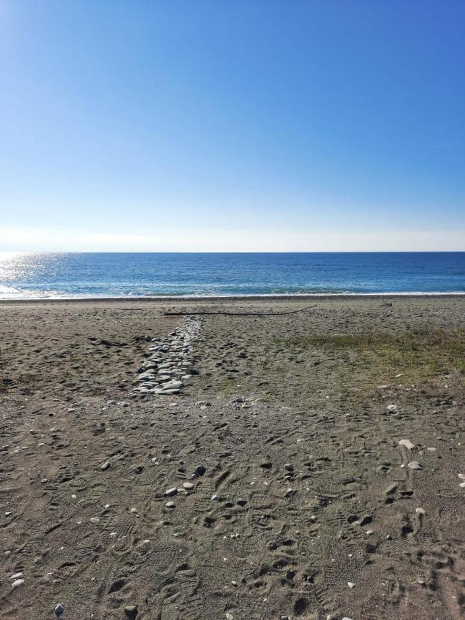 Гостевой Дом La Mer Pitsunda Eksteriør billede